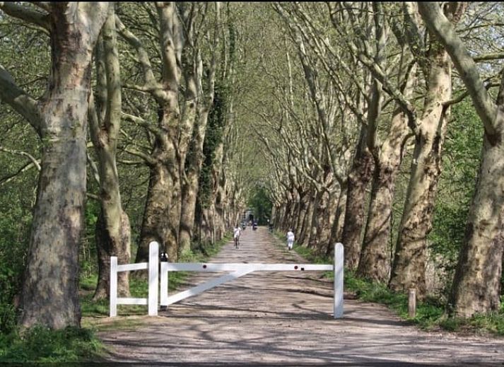 Unterkunft 426309 - Ferienhaus Hart van Brabant - Vakantiehuisje in Sint-Michielsgestel