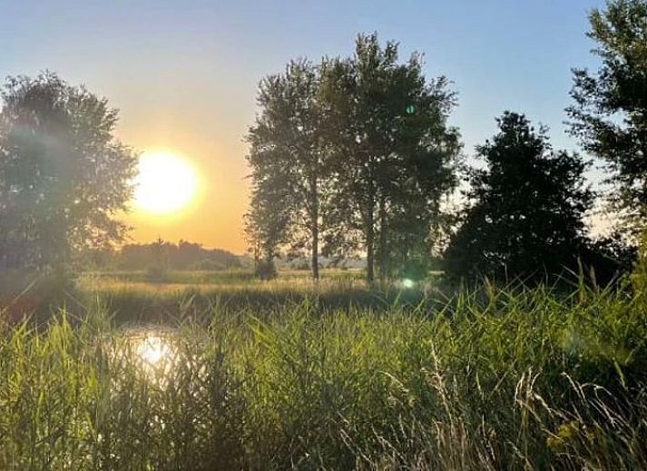 Unterkunft 426309 - Ferienhaus Hart van Brabant - Vakantiehuisje in Sint-Michielsgestel