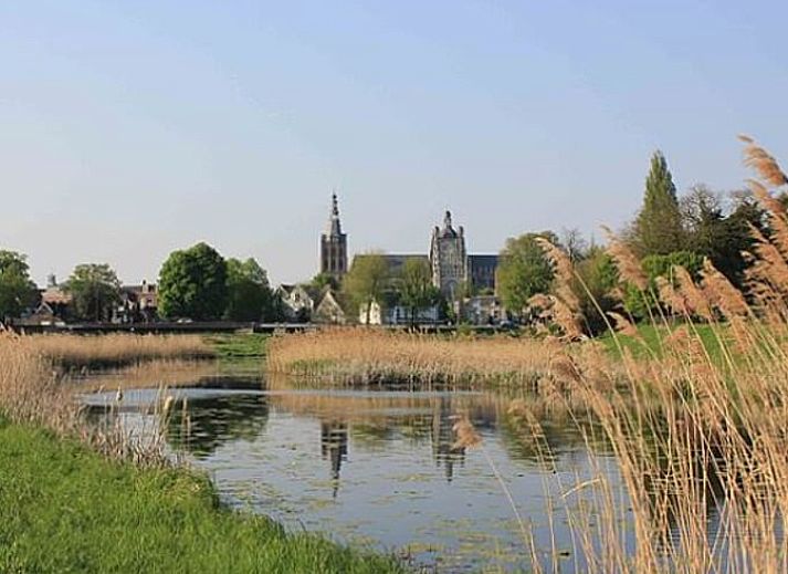 Unterkunft 426309 - Ferienhaus Hart van Brabant - Vakantiehuisje in Sint-Michielsgestel