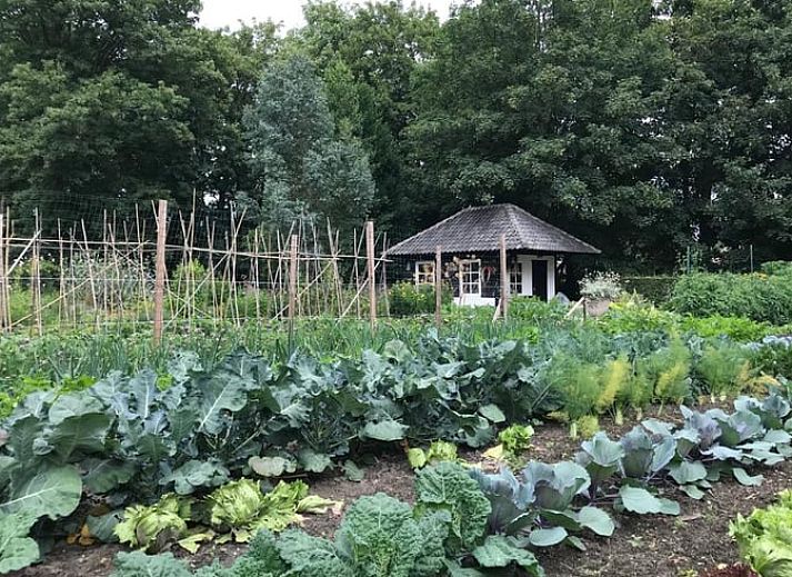 Gezellige eetruimte in Huisje in Loon op Zand, ideaal voor een vakantie in Hart van Brabant.