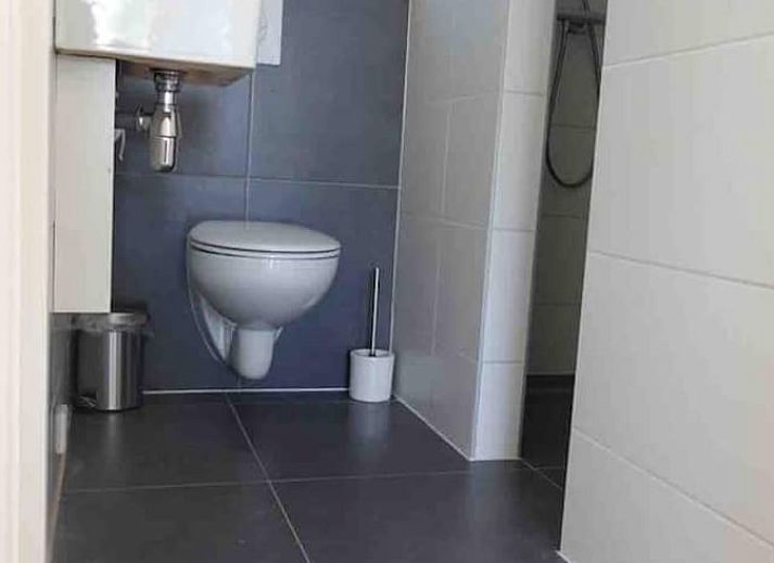 Weitlaeufige Wiese bei Ferienhaus in Loon op Zand, umgeben von Baeumen, Herz von Brabant, Nordbrabant.