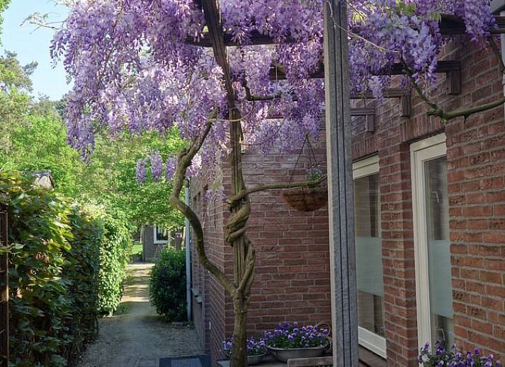 Guest house 426408 • Holiday property Hart van Brabant • Vakantiehuis in Loon op Zand