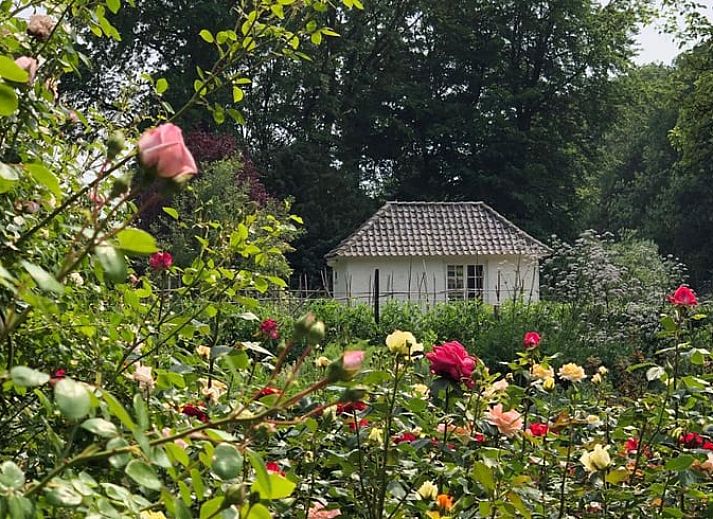 Ferienhaus in Loon op Zand mit Veranda in Hart van Brabant, Nordbrabant.