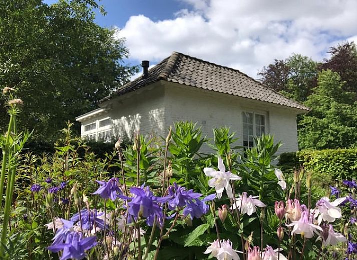 Grosser Rasen im Ferienhaus in Loon op Zand, Nordbrabant.