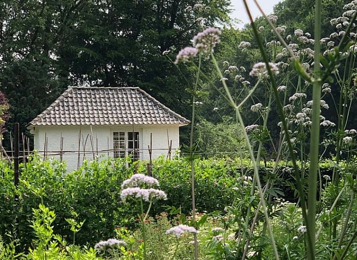 Grosser Rasen im Ferienhaus in Loon op Zand, Nordbrabant.