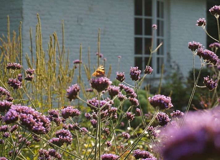 Grosser Rasen im Ferienhaus in Loon op Zand, Nordbrabant.