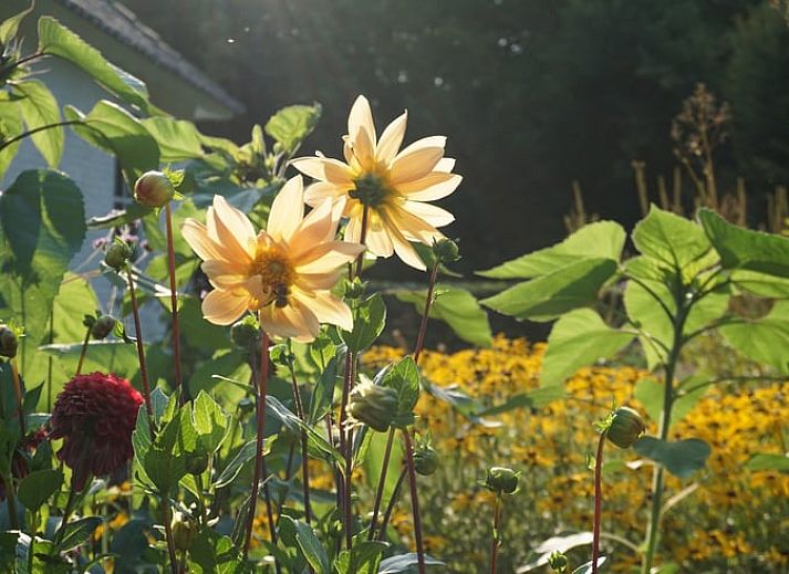 Gemuetliche Essecke im Ferienhaus in Loon op Zand, Herz von Brabant.
