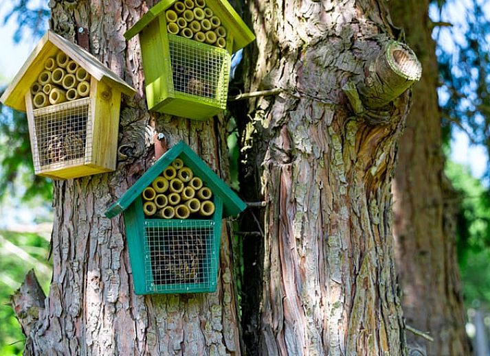 Moderne Kueche im Ferienhaus in Loon op Zand, Ferienhaus in Hart van Brabant, Nordbrabant.