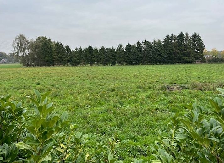 Gemuetliches Wohnzimmer in Cottage in De Moer, Ferienhaus in Hart van Brabant mit laendlicher Wanddekoration.