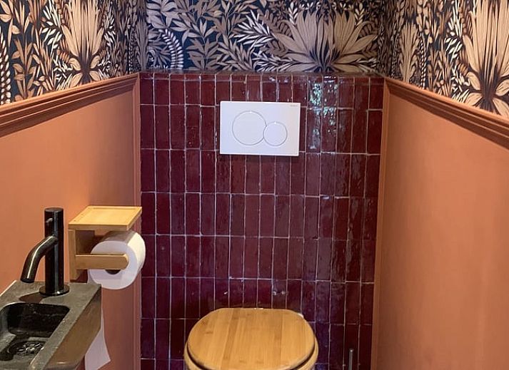 Cozy sitting area in cottage in Boxtel, Lennisheuvel, Heart of Brabant, North Brabant, overlooking the garden.