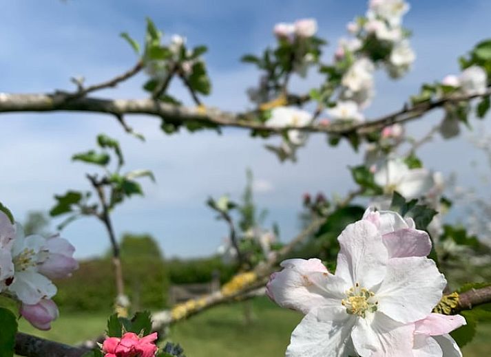 Comfortable sofa in Holiday cottage in Boxtel, Lennisheuvel, Heart of Brabant, North Brabant, ideal for relaxation.
