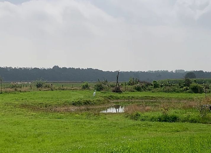 Dining area in Holiday home in Boxtel, Lennisheuvel, Heart of Brabant, North Brabant, with lots of natural light and views.