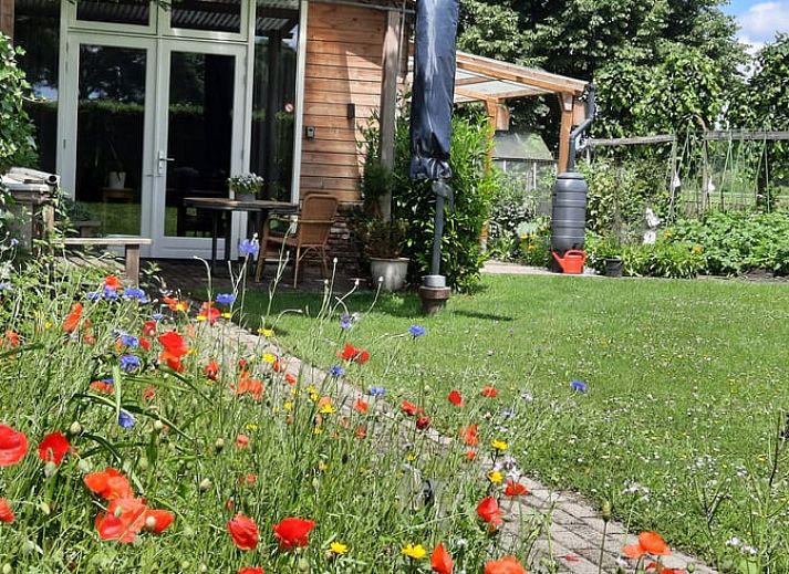 Geniet van de groene tuin bij Vakantiehuisje in Tilburg, Noord Brabant.