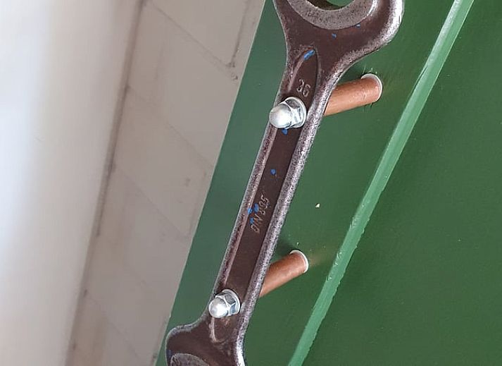 Charmante buitenkant van Vakantiehuisje in Tilburg met bloemen.