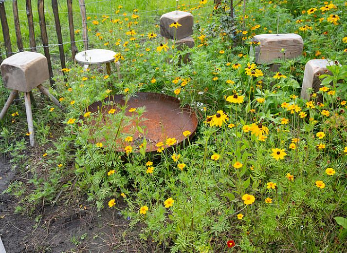 Moderne keuken in Huisje in Best, vakantiehuis in Best, Hart van Brabant, Noord Brabant, met houten accenten.