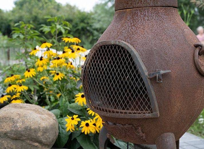 Fiets met bloemenmand bij Huisje in Best, vakantiehuis in het Hart van Brabant, Noord Brabant, met rustieke charme.