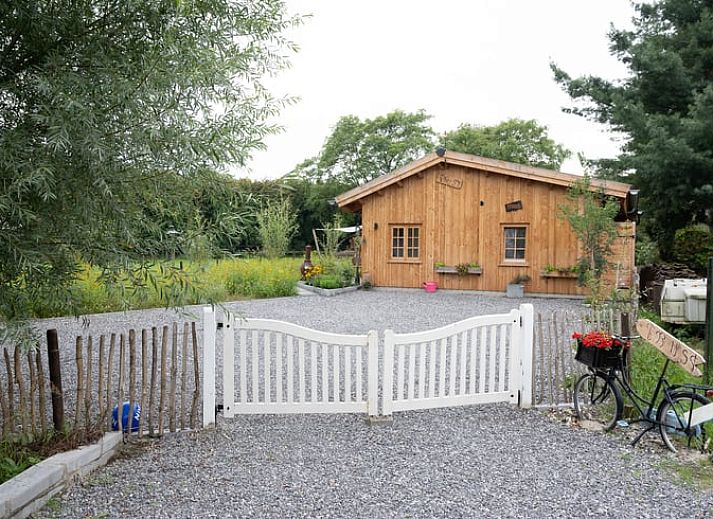 Fiets met bloemenmand bij Huisje in Best, vakantiehuis in het Hart van Brabant, Noord Brabant, met rustieke charme.