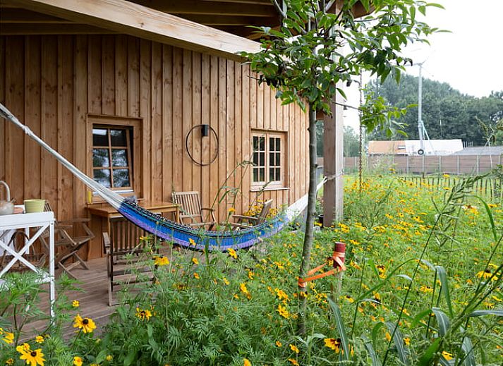 Gezellige binnenruimte van Huisje in Best, vakantiehuis in Hart van Brabant, Noord Brabant, met houten interieur.