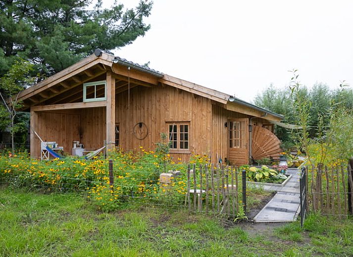 Gezellige binnenruimte van Huisje in Best, vakantiehuis in Hart van Brabant, Noord Brabant, met houten interieur.