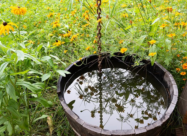 Gezellige binnenruimte van Huisje in Best, vakantiehuis in Hart van Brabant, Noord Brabant, met houten interieur.