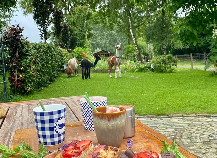 Binnenruimte van Vakantiehuisje in Best, knusse inrichting in Hart van Brabant, Noord Brabant.
