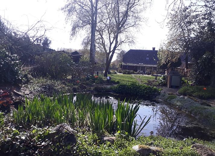 Modern kitchen in Holiday home in Best, located in the heart of Brabant, North Brabant, with stylish decor and natural light.