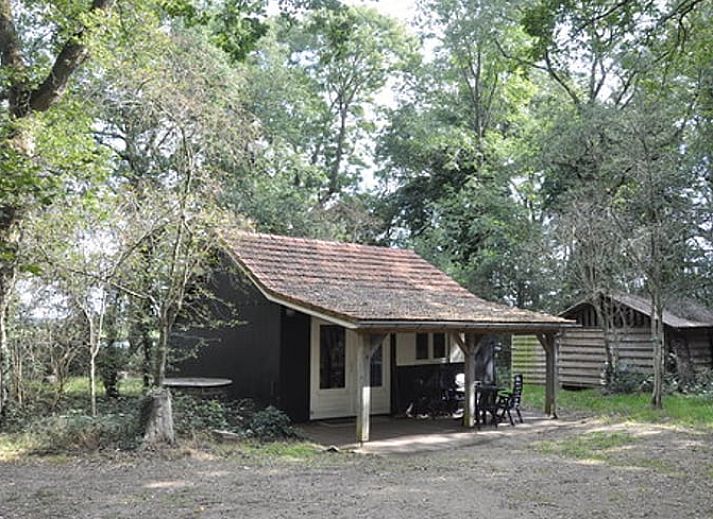 Verblijf 430103 • Bungalow Noordoost Brabant • Bosrand B 6