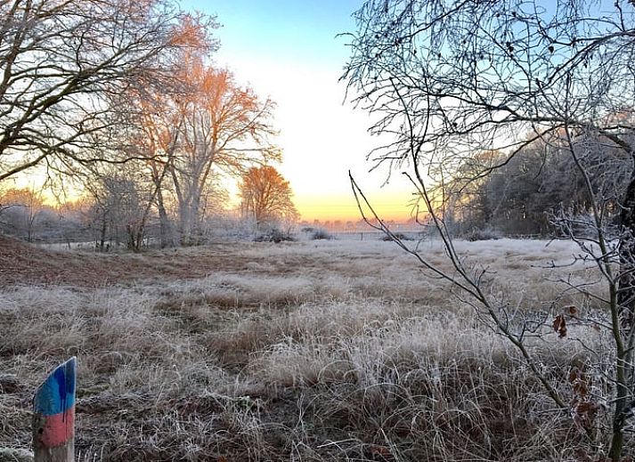 Unterkunft 430107 - Ferienhaus Noordoost Brabant - Vakantiehuisje in Nuland