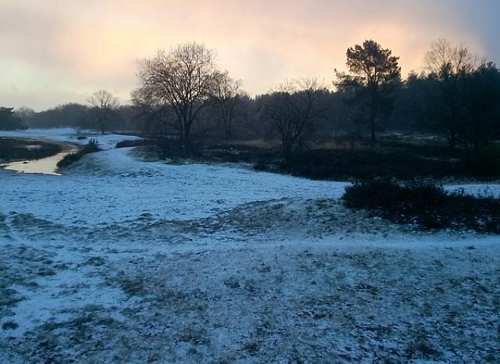 Unterkunft 430107 - Ferienhaus Noordoost Brabant - Vakantiehuisje in Nuland