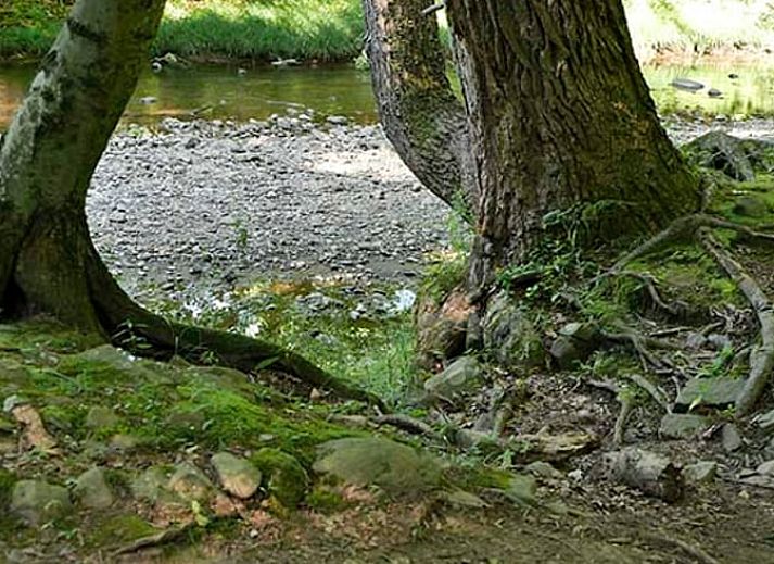 Unterkunft 430107 - Ferienhaus Noordoost Brabant - Vakantiehuisje in Nuland
