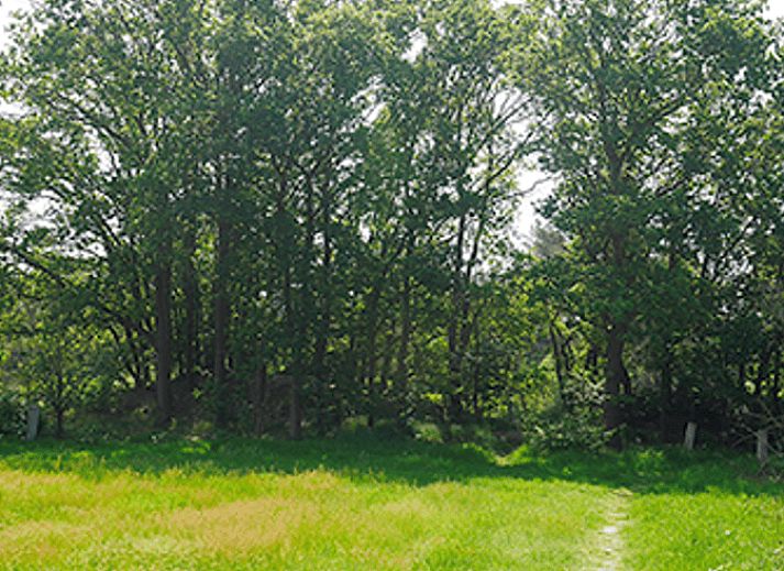 Unterkunft 430107 - Ferienhaus Noordoost Brabant - Vakantiehuisje in Nuland