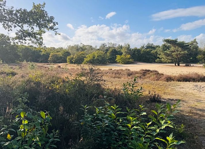 Unterkunft 430109 - Ferienhaus Noordoost Brabant - Vakantiehuis in Nuland