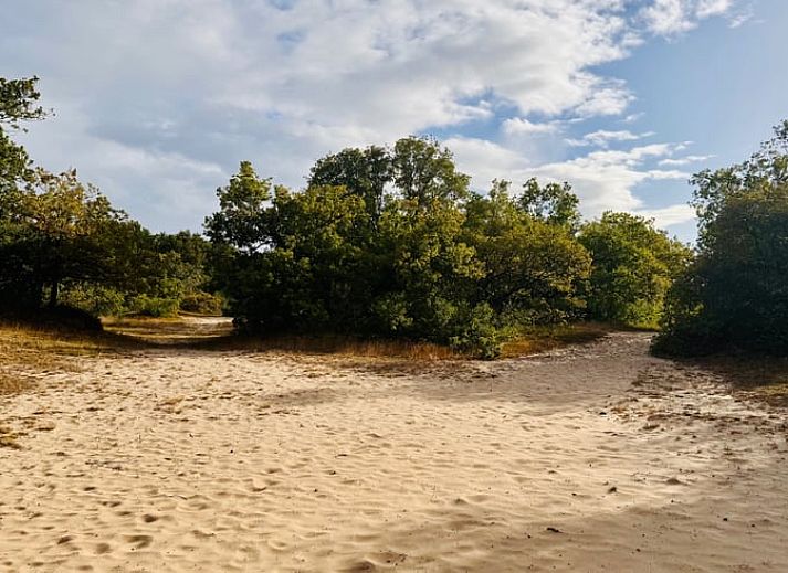 Unterkunft 430109 - Ferienhaus Noordoost Brabant - Vakantiehuis in Nuland