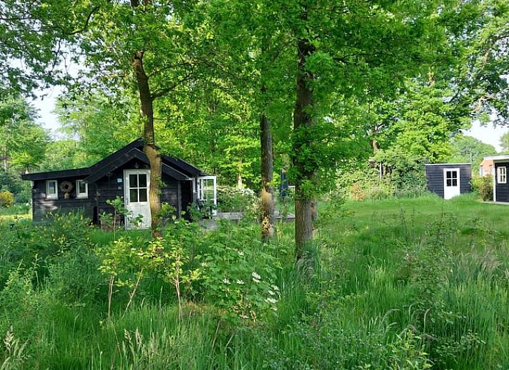 Unterkunft 430110 - Ferienhaus Noordoost Brabant - Huisje in Nuland