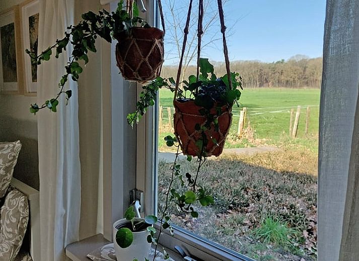 Unterkunft 430110 - Ferienhaus Noordoost Brabant - Huisje in Nuland