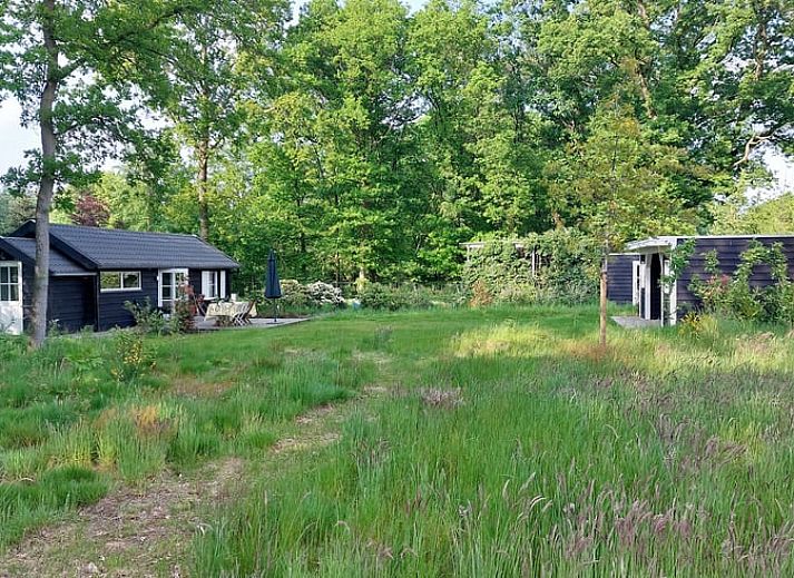 Unterkunft 430110 - Ferienhaus Noordoost Brabant - Huisje in Nuland