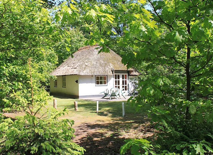 Guest house 430132 • Bungalow Noordoost Brabant • Stuif Hoeve 4