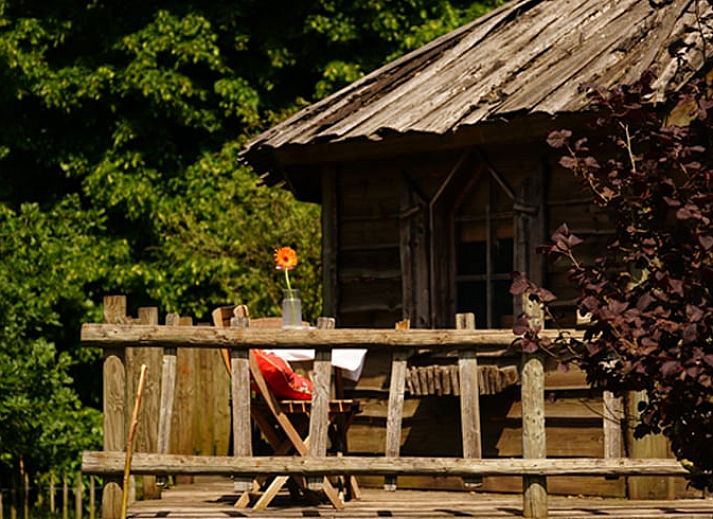 Guest house 430305 - Holiday property Noordoost Brabant - Huisje in Mill