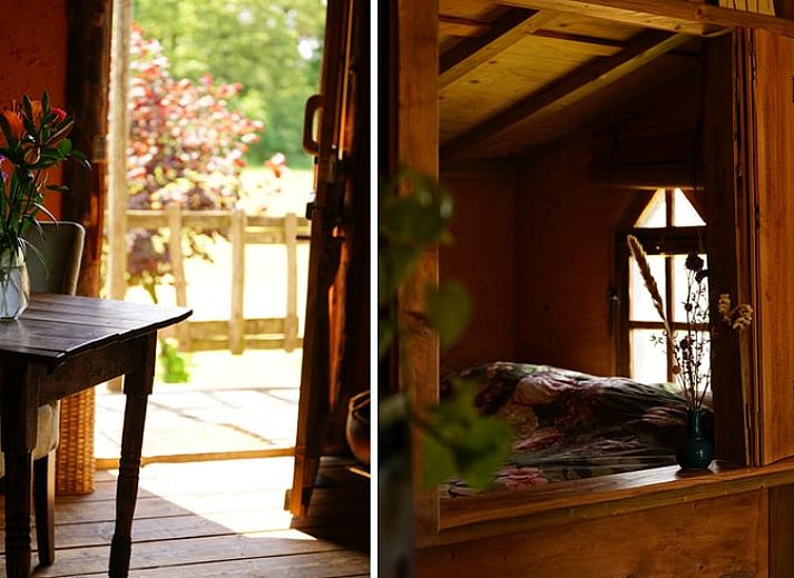 Guest house 430305 - Holiday property Noordoost Brabant - Huisje in Mill