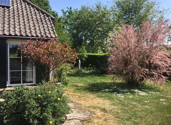 Rustikaler Garten im Ferienhaus in Mill, Nordost-Brabant, Ferienhaus im Gruenen.