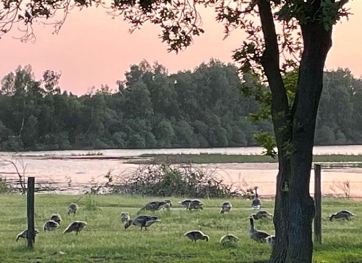 Sonniger Tag im Ferienhaus in Mill, Nordbrabant, mit Sonnenkollektoren auf dem Dach.