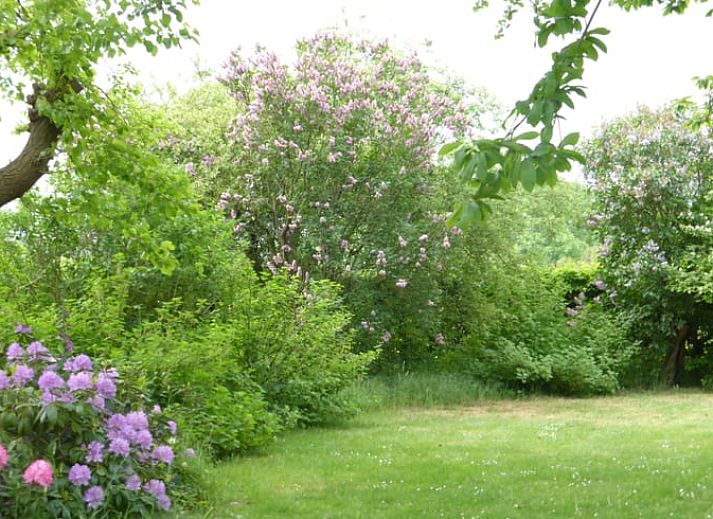 Sonniger Tag im Ferienhaus in Mill, Nordbrabant, mit Sonnenkollektoren auf dem Dach.
