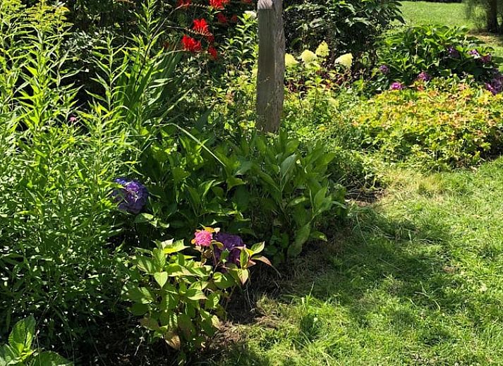 Sonniger Tag im Ferienhaus in Mill, Nordbrabant, mit Sonnenkollektoren auf dem Dach.