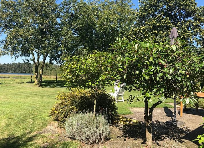 Terrasse mit Sitzgelegenheit im Ferienhaus in Mill, Nordbrabant, idealer Ort zum Entspannen.