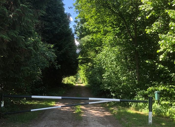 Vorderseite des Ferienhauses in Mill, Nordost-Brabant, mit grossem Garten und blauem Himmel.