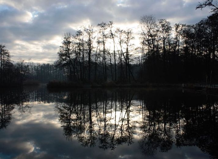 Guest house 430313 - Holiday property Noordoost Brabant - Huisje in Mill