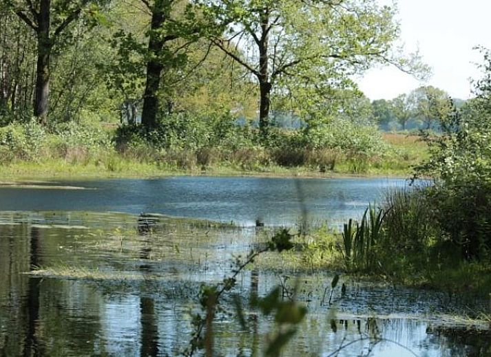 Guest house 430313 - Holiday property Noordoost Brabant - Huisje in Mill