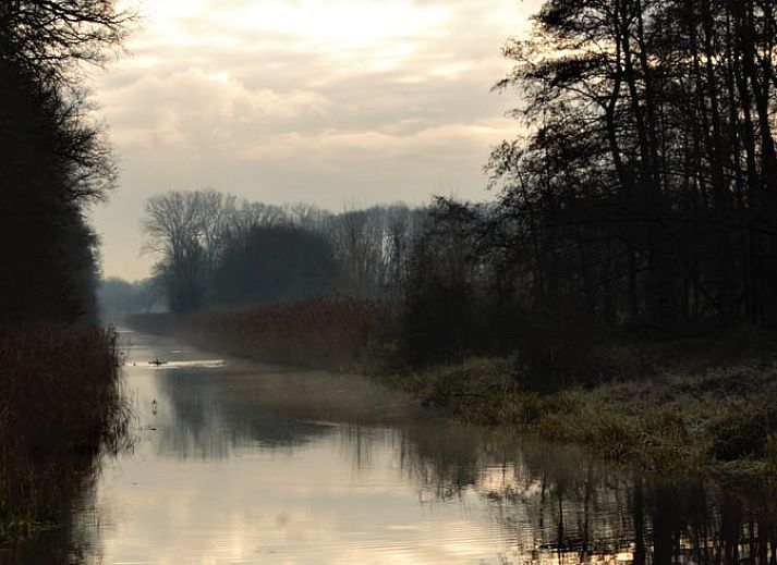 Guest house 430313 - Holiday property Noordoost Brabant - Huisje in Mill