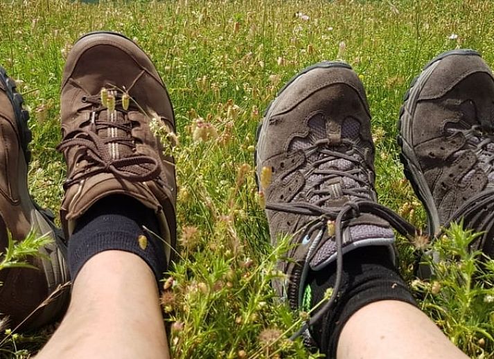 Guest house 430313 - Holiday property Noordoost Brabant - Huisje in Mill