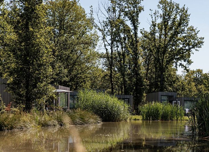 Stijlvolle woonkamer van Waterlodge 6 in Schaijk, Noordoost Brabant, met moderne inrichting en comfortabele zitruimte.